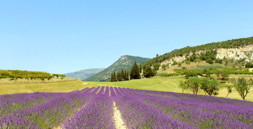 campagne-vignette-homepage-th